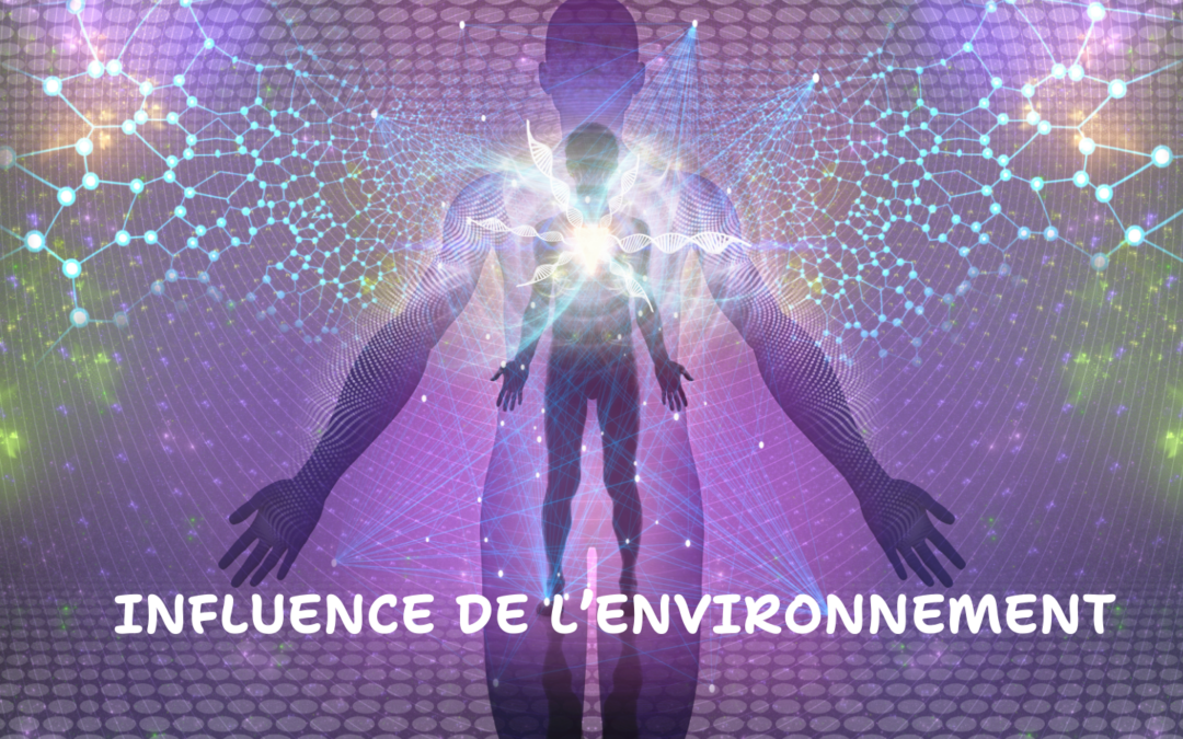 Influence de notre environnement sur notre ADN