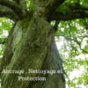 ancrage, nettoyage et protection