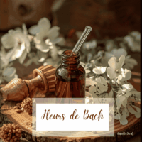 cours fleurs de bach