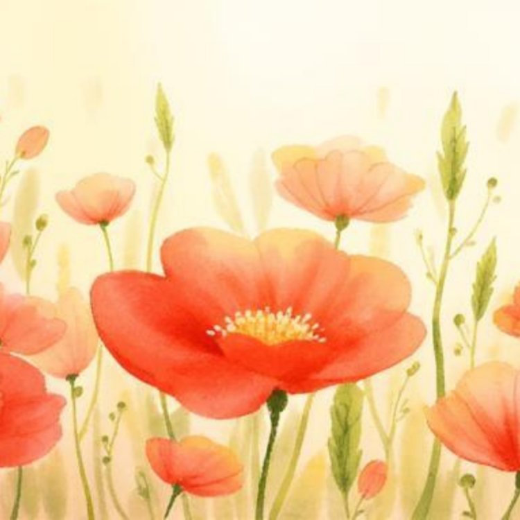 Champ de coquelicots baigné de lumière dorée, symbolisant la douceur et la libération intérieure.