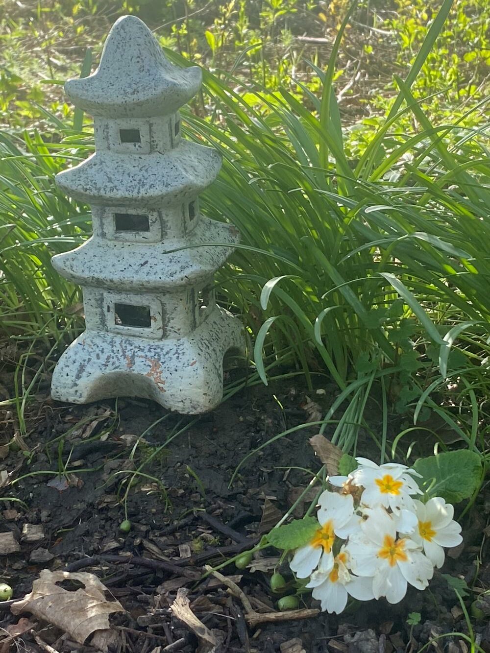 Lanterne de pierre et primevères blanches dans un jardin naturel — univers apaisant d'Isabelle Decalf, thérapeute énergéticienne à Lynde